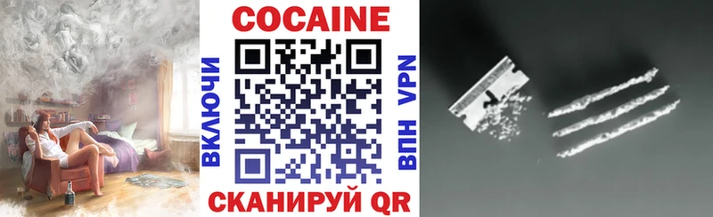 Кокаин Fish Scale  дарнет шоп  Карачаевск 
