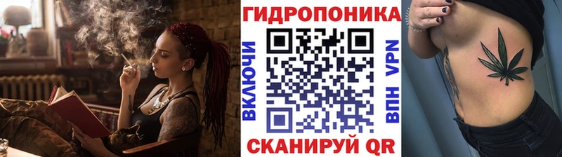 Конопля OG Kush  кракен ССЫЛКА  Карачаевск 